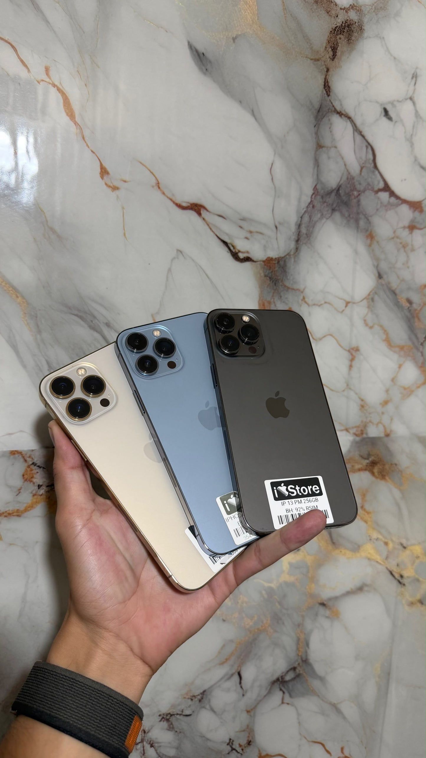iPhone 13 Pro Max