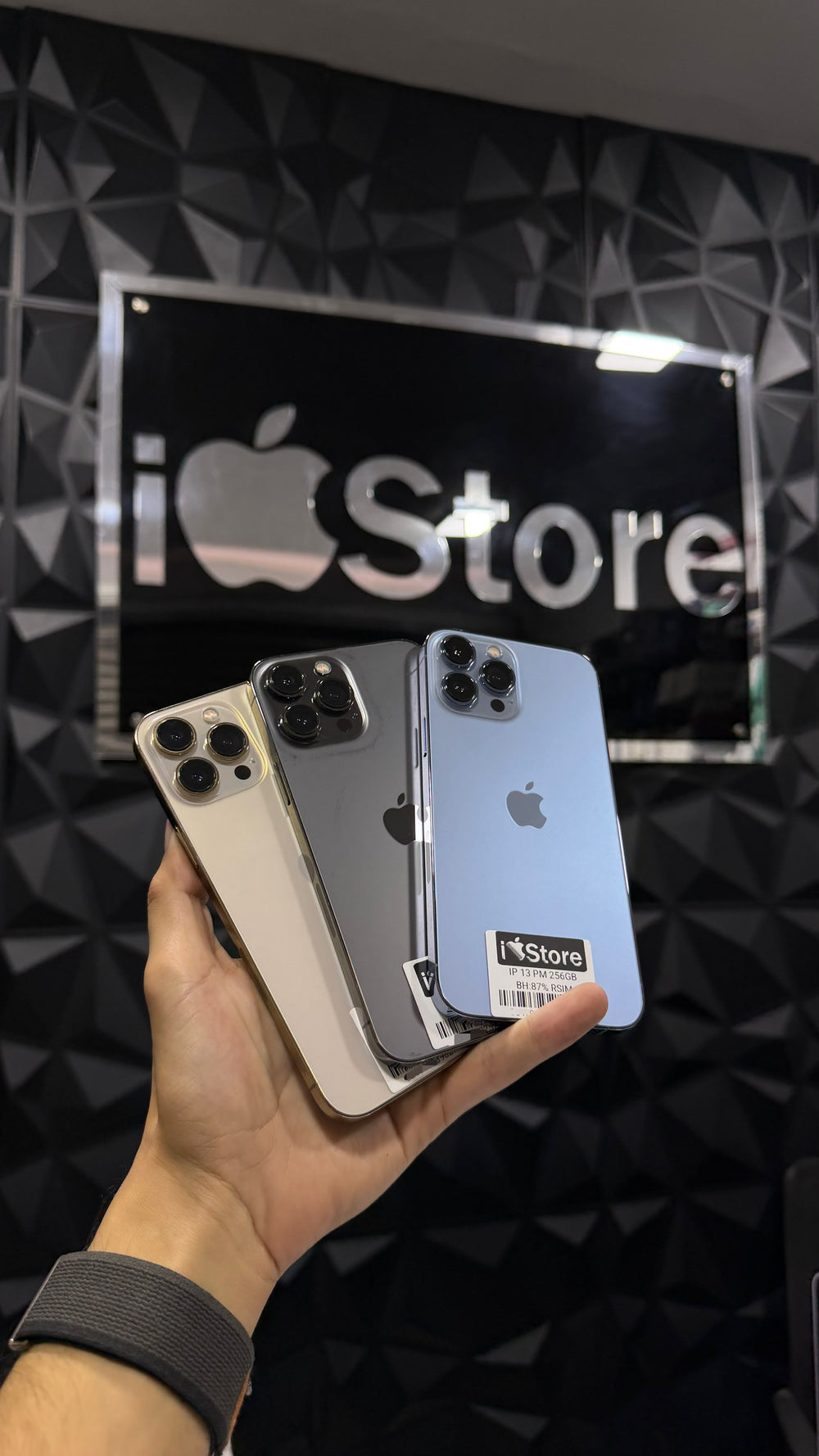 iPhone 13 Pro Max